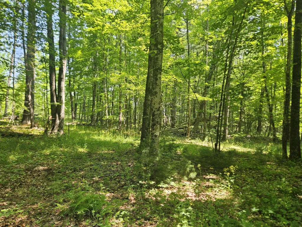 Lot 5 North Merrill Road Harmony ME 04942