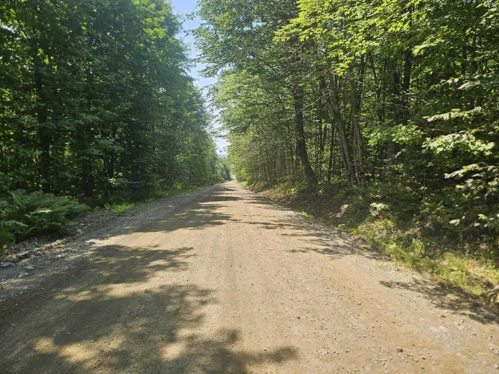 Lot 5 North Merrill Road Harmony ME 04942