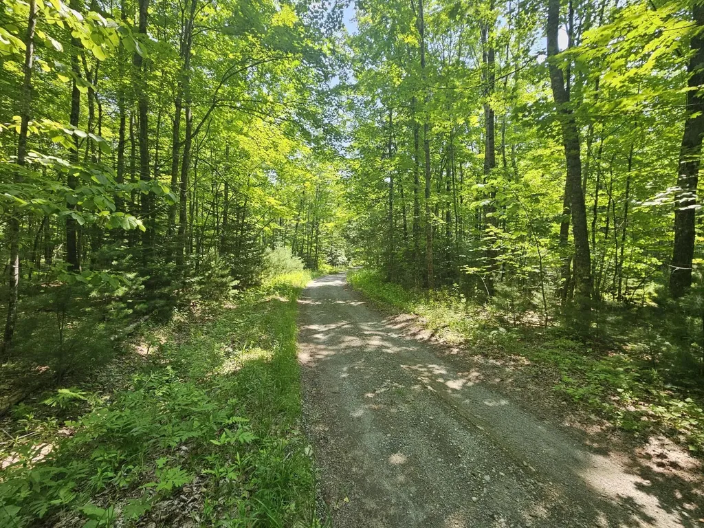Lot 5 North Merrill Road Harmony ME 04942