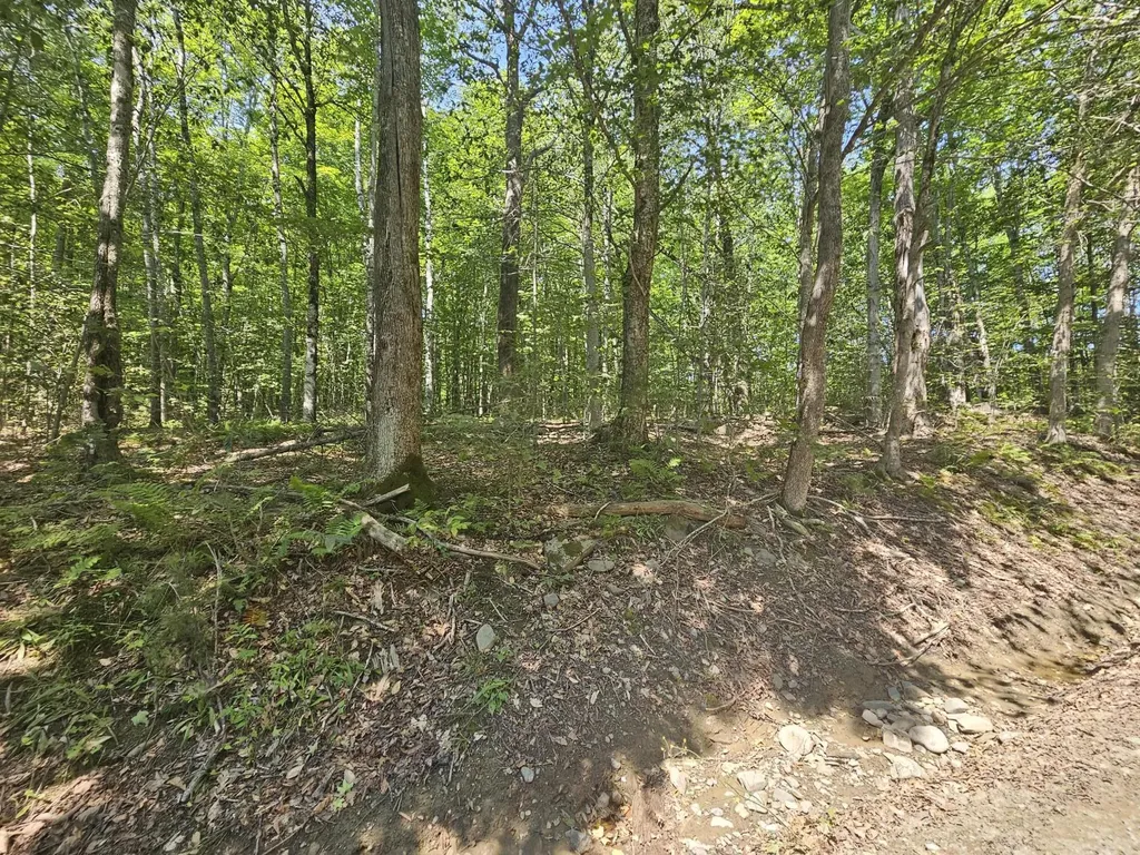 Lot 5 North Merrill Road Harmony ME 04942