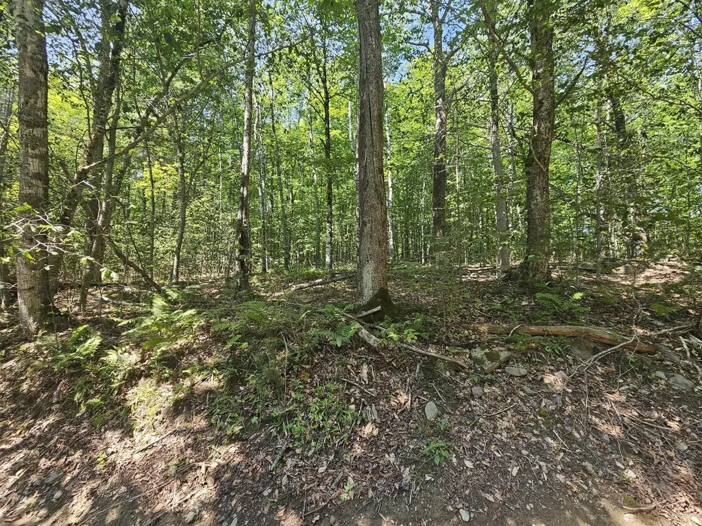 Lot 5 North Merrill Road Harmony ME 04942