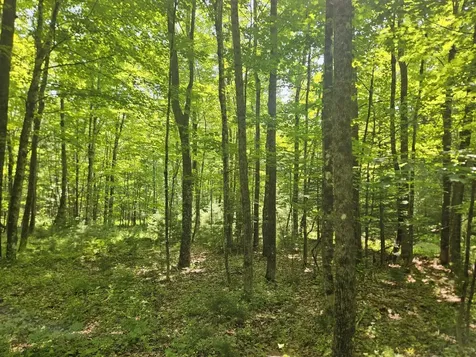 Lot 5 North Merrill Road Harmony ME 04942