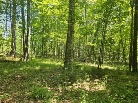 Lot 5 North Merrill Road Harmony ME 04942