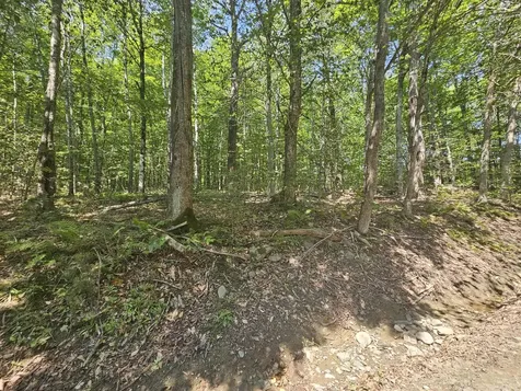 Lot 5 North Merrill Road Harmony ME 04942