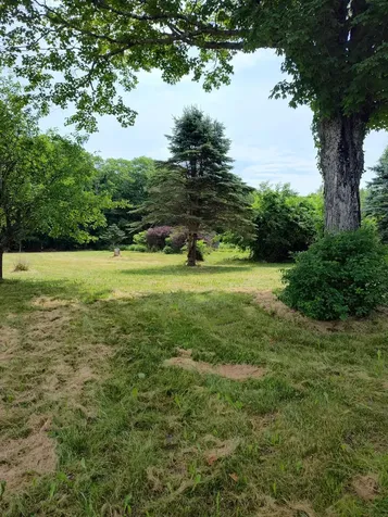 1345 Main Street Ripley ME 04971