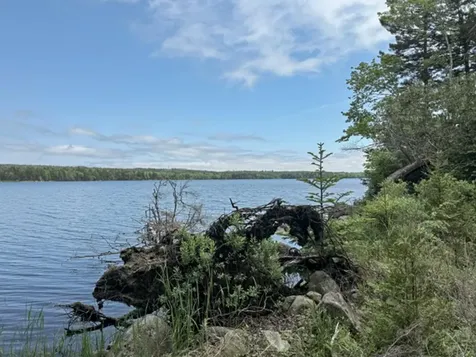 WA031P6L19 Peninsula Road Marion Twp ME 04628