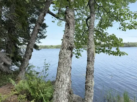 WA031P6L19 Peninsula Road Marion Twp ME 04628