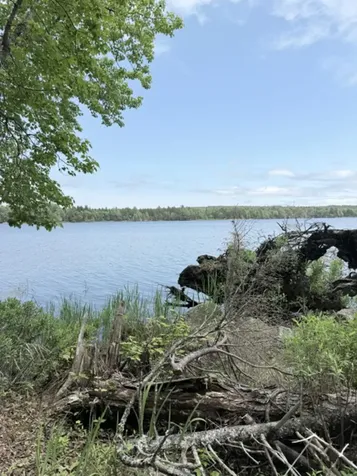 WA031P6L19 Peninsula Road Marion Twp ME 04628