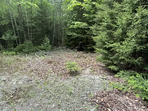 WA031P6L19 Peninsula Road Marion Twp ME 04628
