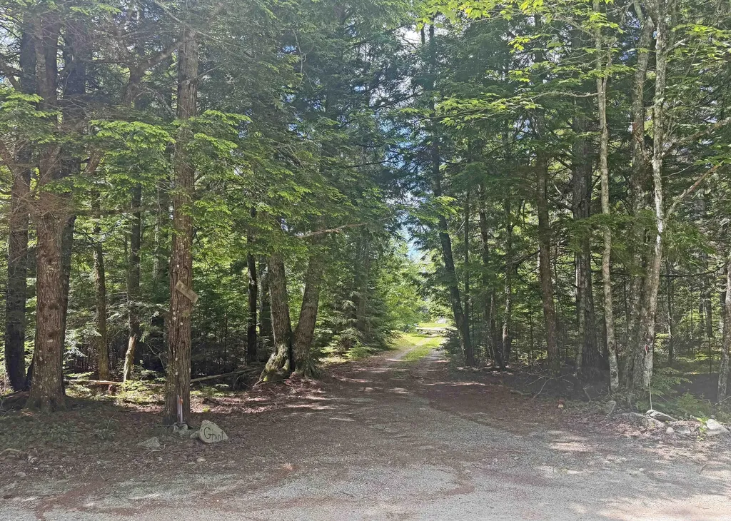305 Roaring Brook Road Eastbrook ME 04634