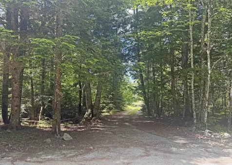 305 Roaring Brook Road Eastbrook ME 04634