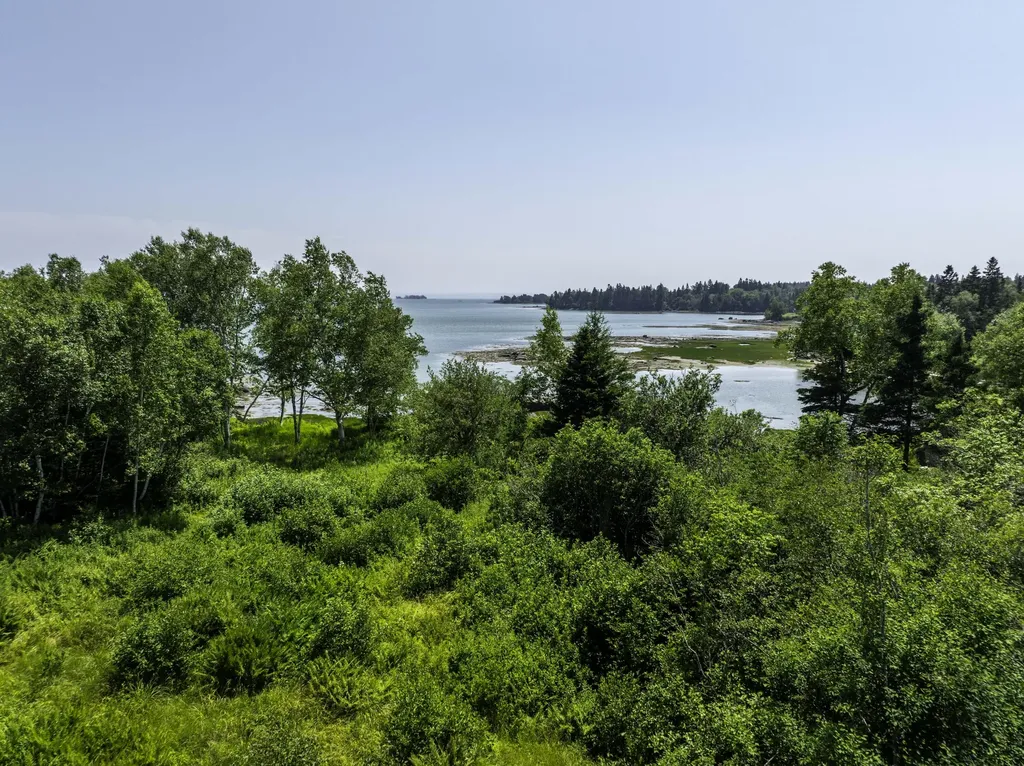 LOT43+45 Reynolds Lane Addison ME 04606
