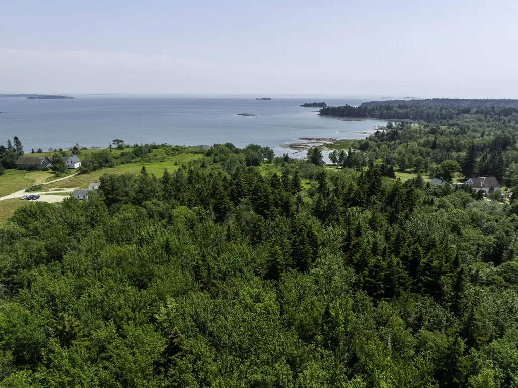 LOT43+45 Reynolds Lane Addison ME 04606