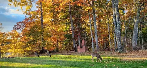 389 Castine Road Orland ME 04472