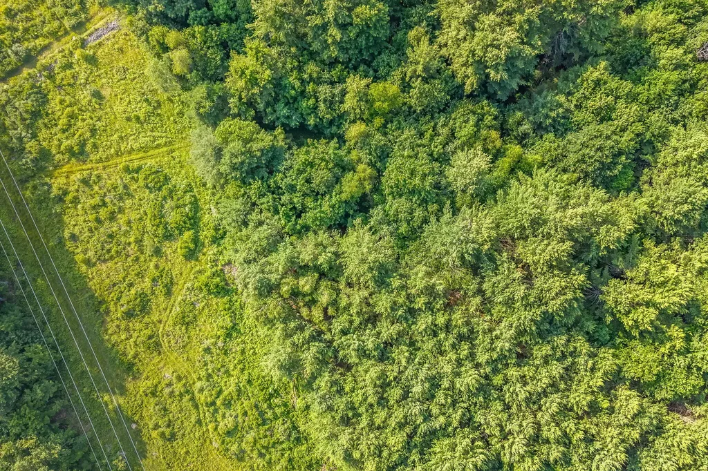 Lot #3 Beechwood Street Warren ME 04864