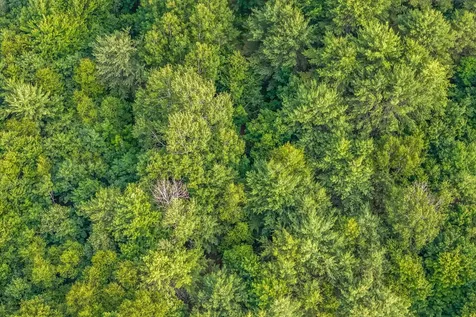 Lot #3 Beechwood Street Warren ME 04864