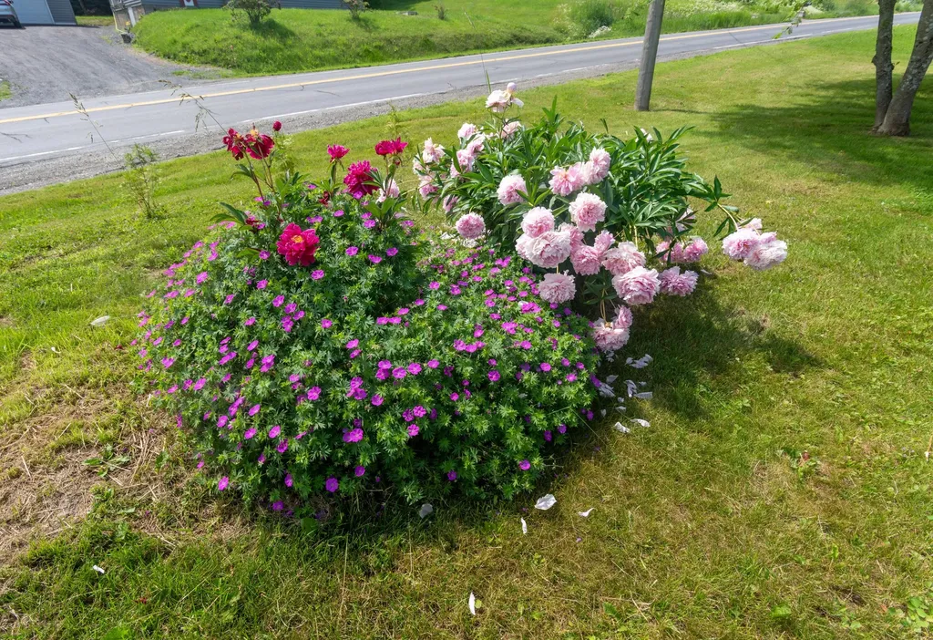 32 U.s. 1 Frenchville ME 04745