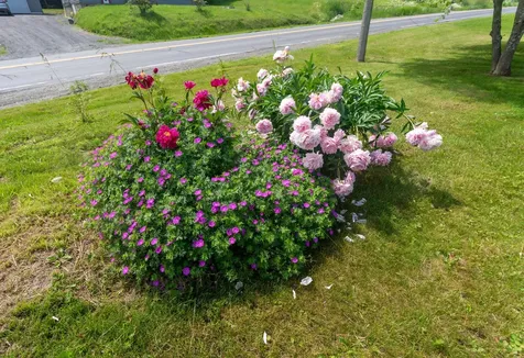 32 U.s. 1 Frenchville ME 04745
