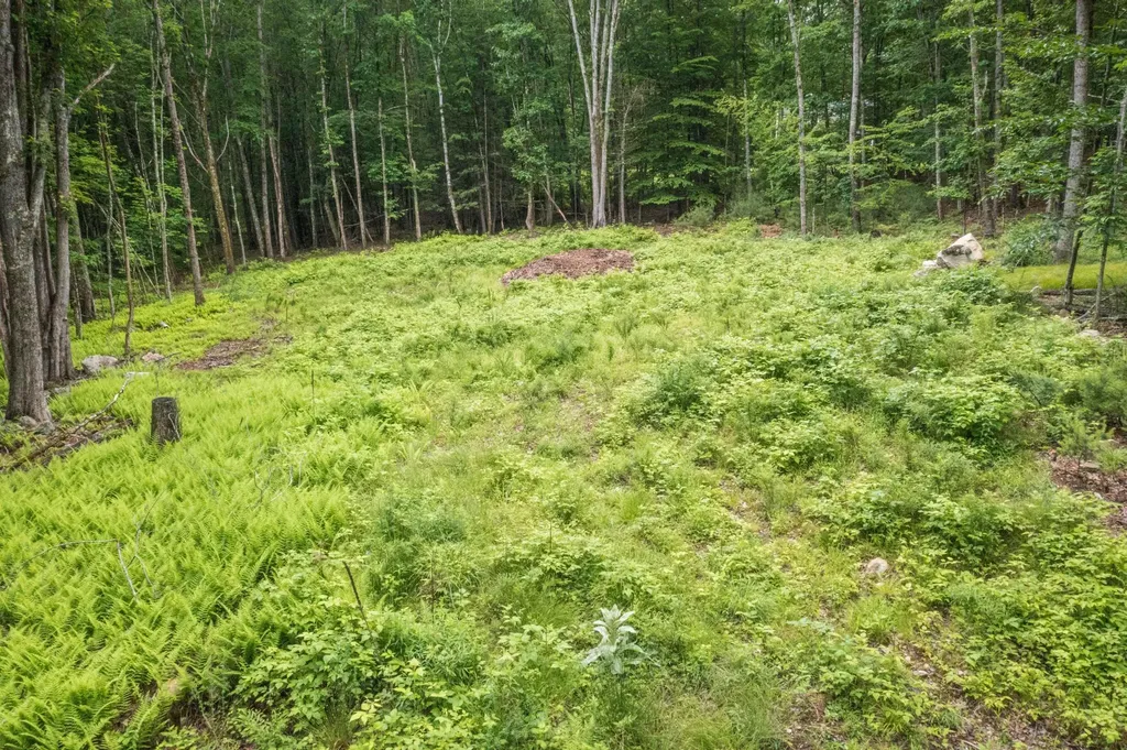 Lot 5 Stonecrop Farm Lane Eliot ME 03903