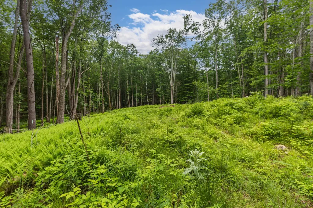 Lot 5 Stonecrop Farm Lane Eliot ME 03903
