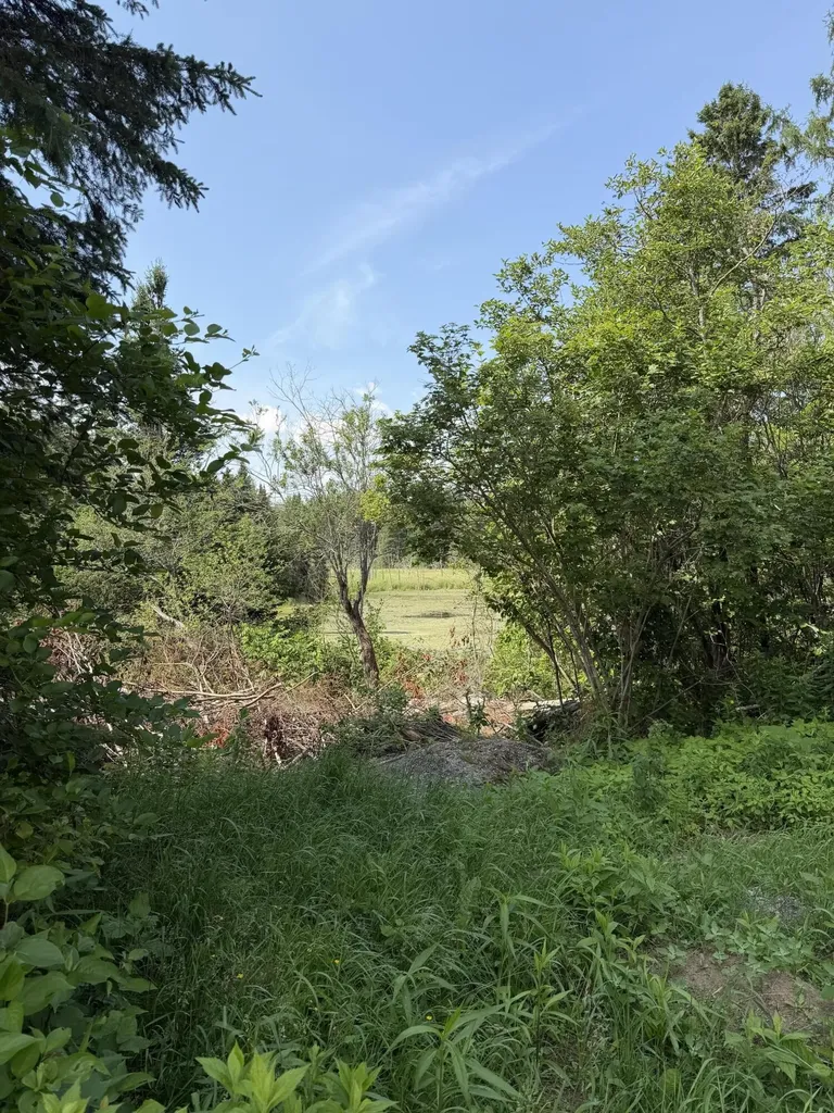 129 Currier Road Fort Fairfield ME 04742