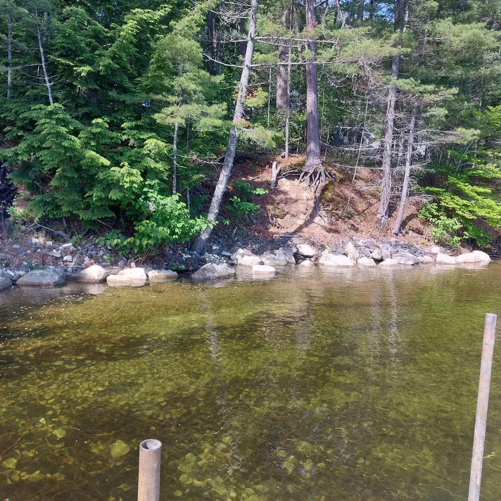 Lot 25a Sokokis Road Sebago ME 04029