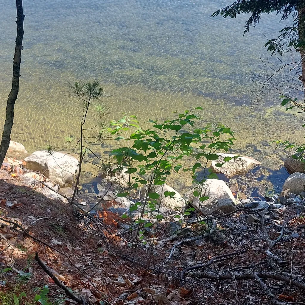 Lot 25a Sokokis Road Sebago ME 04029