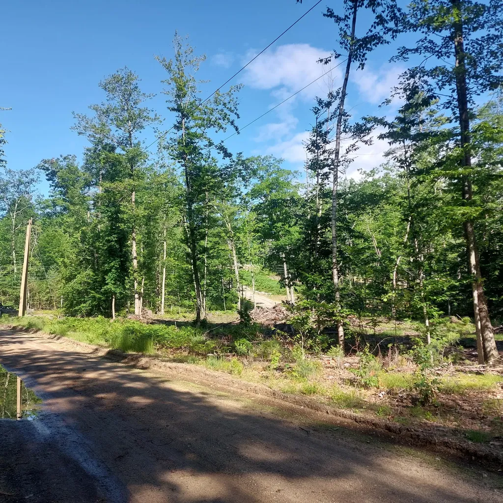 Lot 25a Sokokis Road Sebago ME 04029