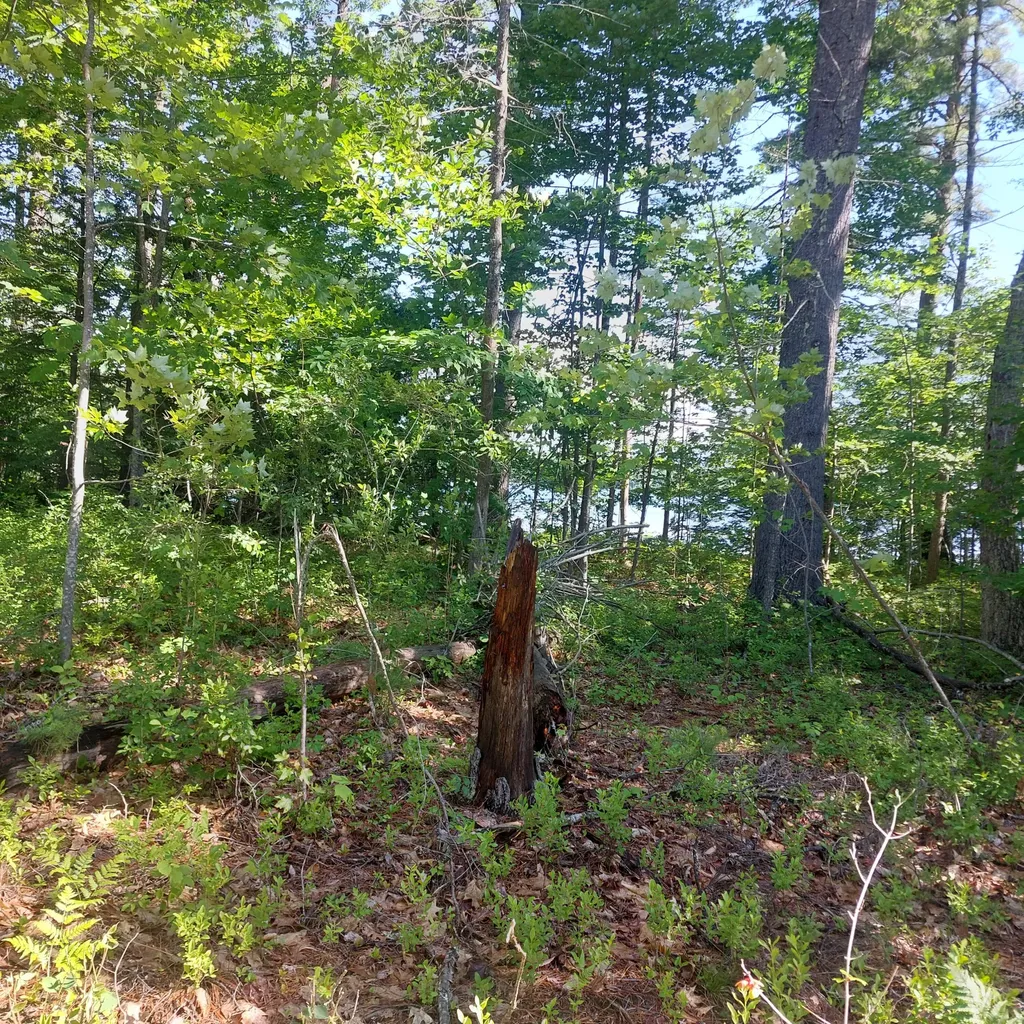 Lot 25a Sokokis Road Sebago ME 04029