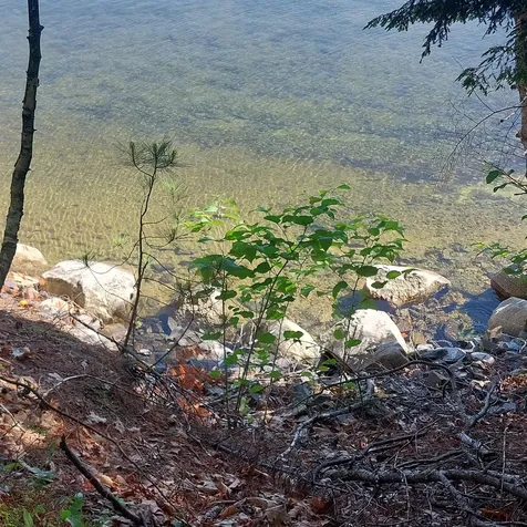 Lot 25a Sokokis Road Sebago ME 04029