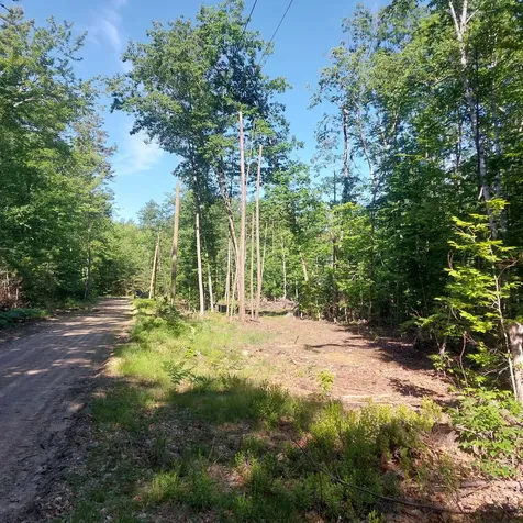 Lot 25a Sokokis Road Sebago ME 04029