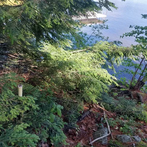 Lot 25a Sokokis Road Sebago ME 04029