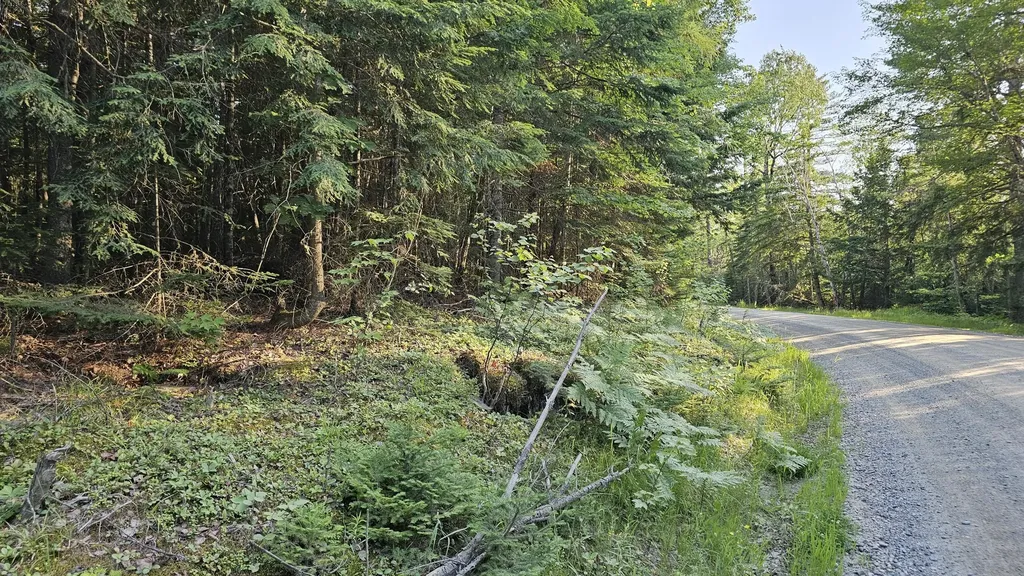 01-LOT 26 County Road Greenfield Twp ME 04461