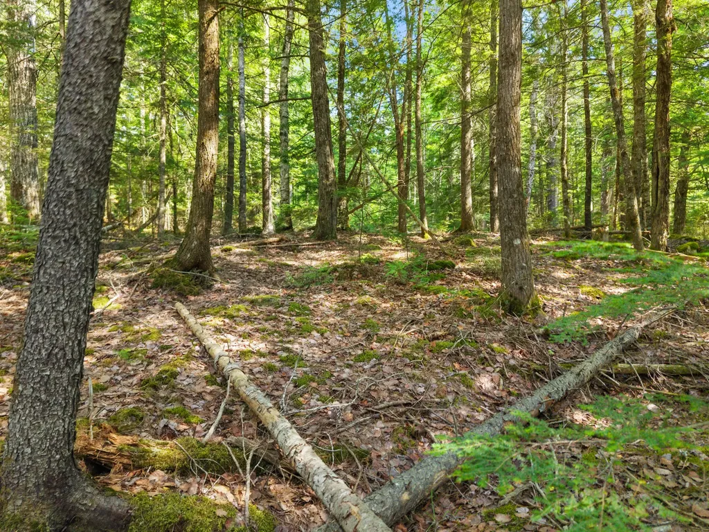 01-LOT 26 County Road Greenfield Twp ME 04461