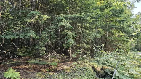 01-LOT 26 County Road Greenfield Twp ME 04461