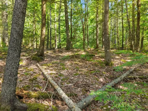 01-LOT 26 County Road Greenfield Twp ME 04461