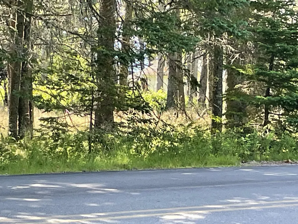 9 Ferry Road Swans Island ME 04685