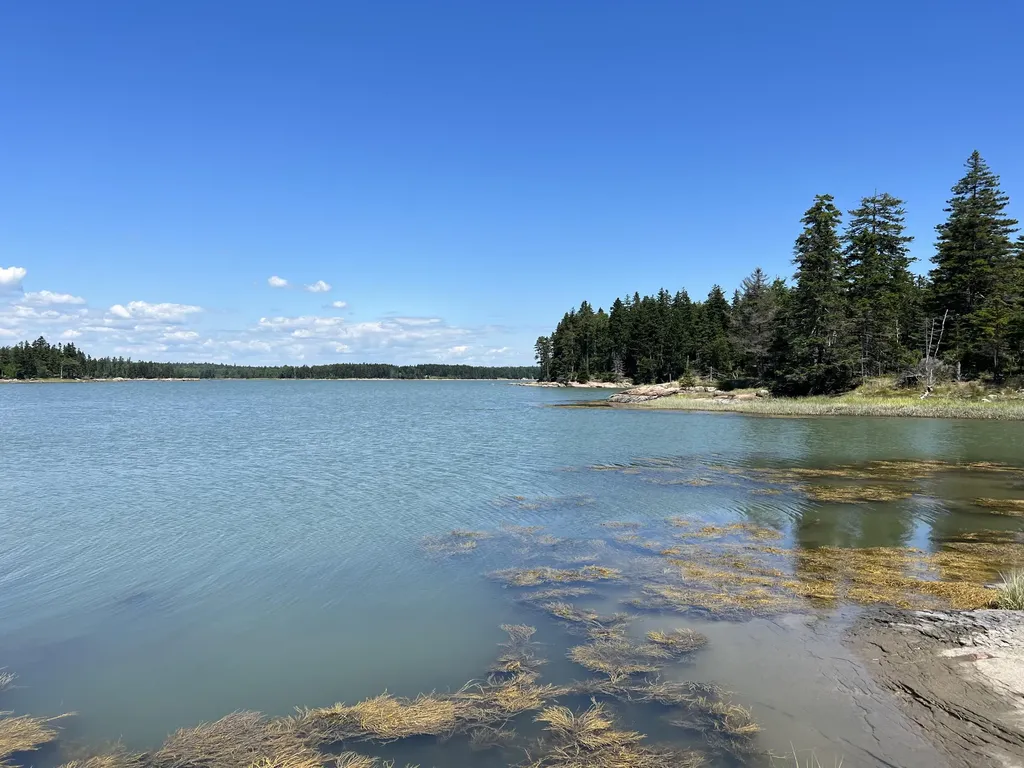 86 Back Shore Road Steuben ME 04680