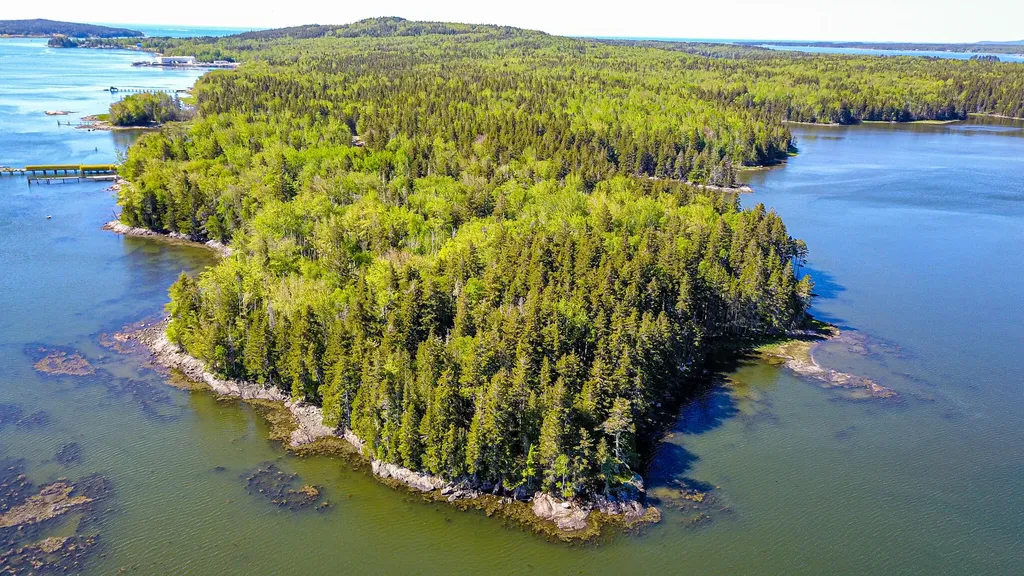 86 Back Shore Road Steuben ME 04680
