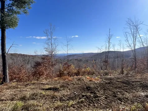 5W Mountain View Drive Temple ME 04984