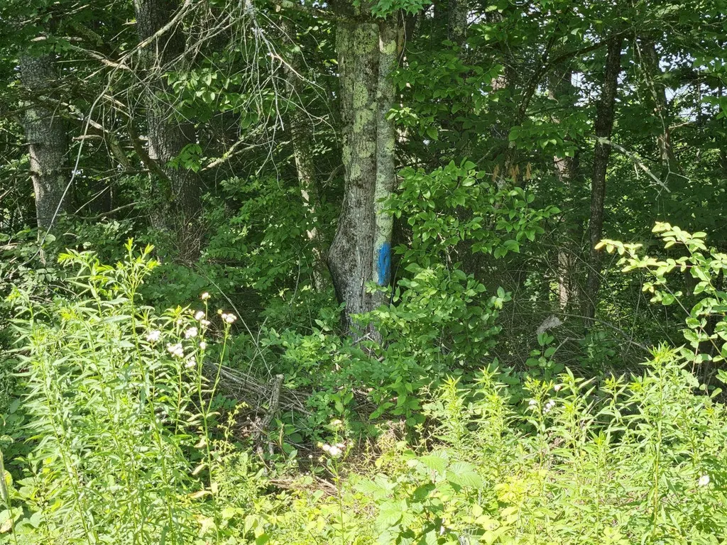 1029 E River Road Skowhegan ME 04976