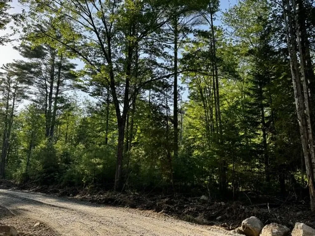 Lot 1 Skogen Ridge Drive Belgrade ME 04917
