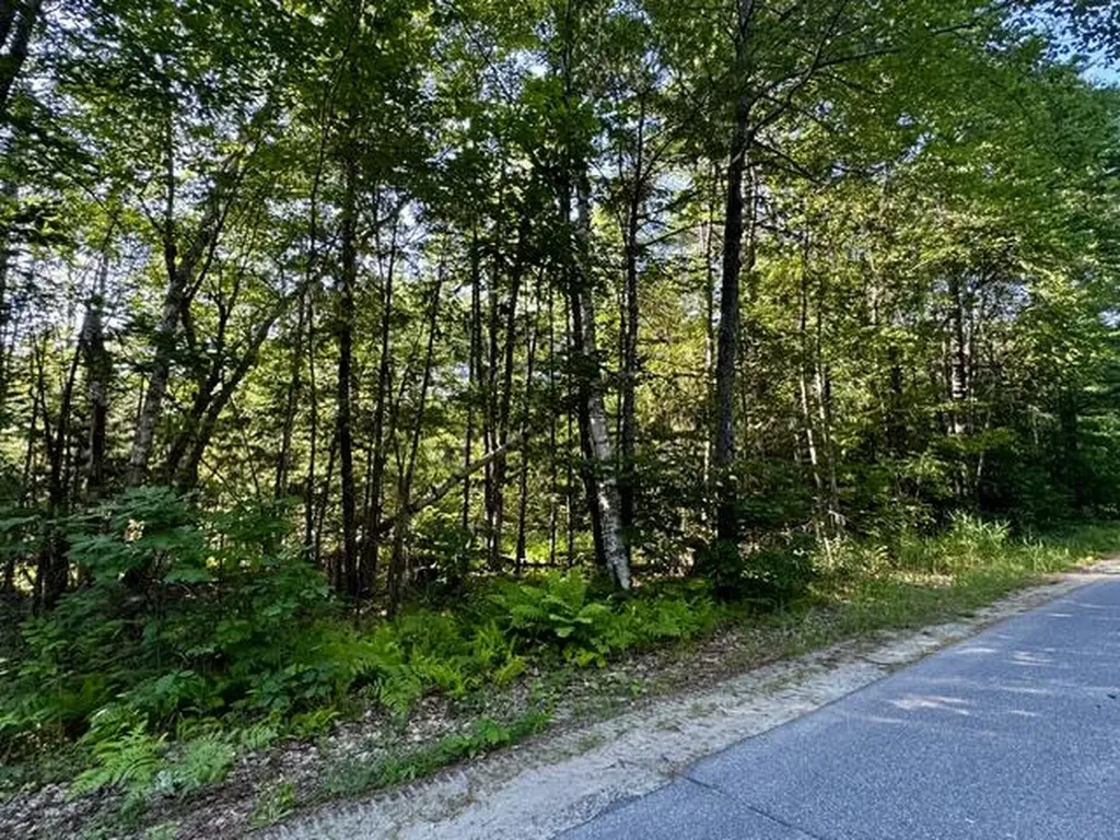Lot 1 Skogen Ridge Drive Belgrade ME 04917