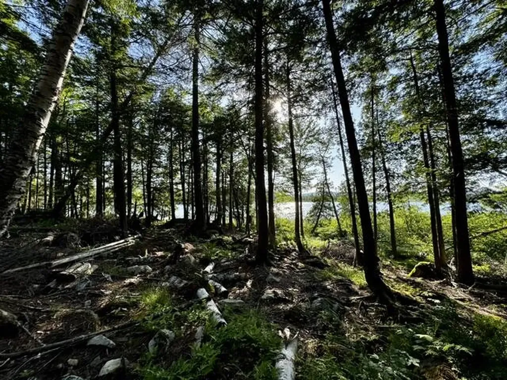 Lot 1 Skogen Ridge Drive Belgrade ME 04917