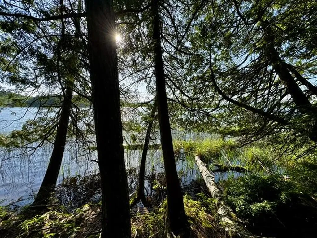 Lot 1 Skogen Ridge Drive Belgrade ME 04917