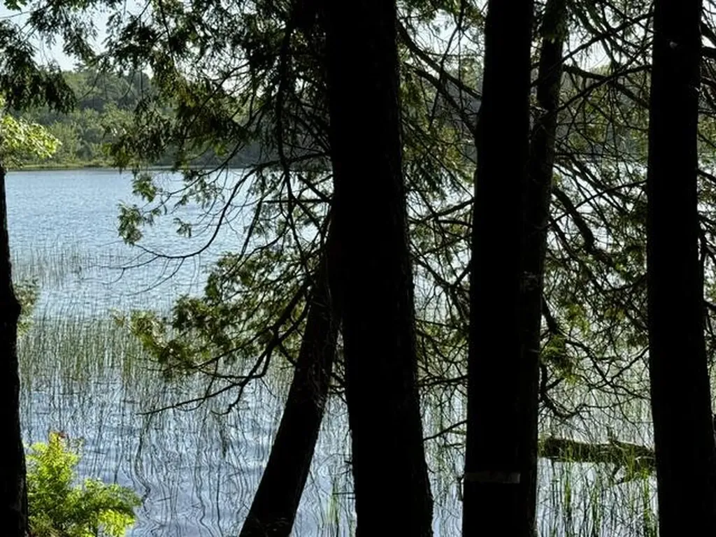 Lot 1 Skogen Ridge Drive Belgrade ME 04917