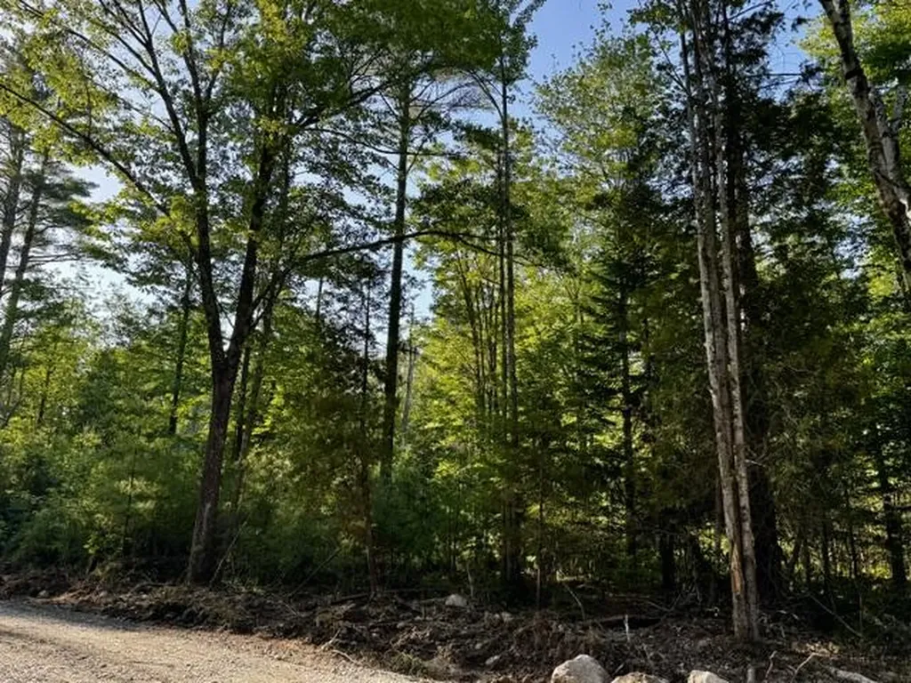 Lot 1 Skogen Ridge Drive Belgrade ME 04917