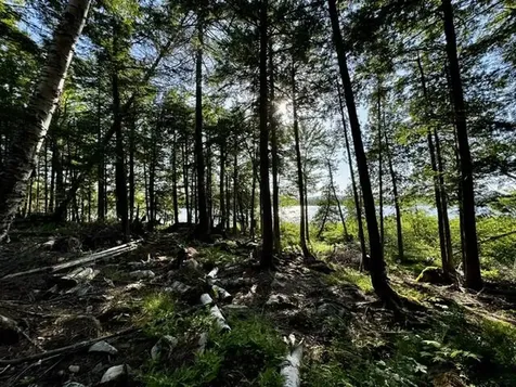 Lot 1 Skogen Ridge Drive Belgrade ME 04917