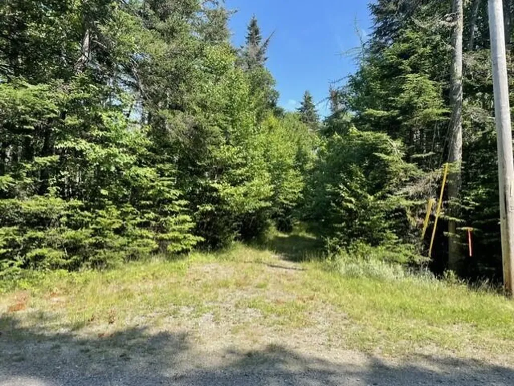 51 Bay Drive Addison ME 04606