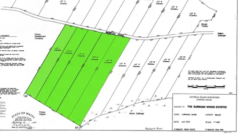 Lots 11-15 Morgan Road Burnham ME 04922